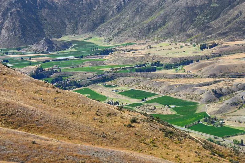 Vineyards in the Gibbston Valley, part of Central Otago's acclaimed wine region