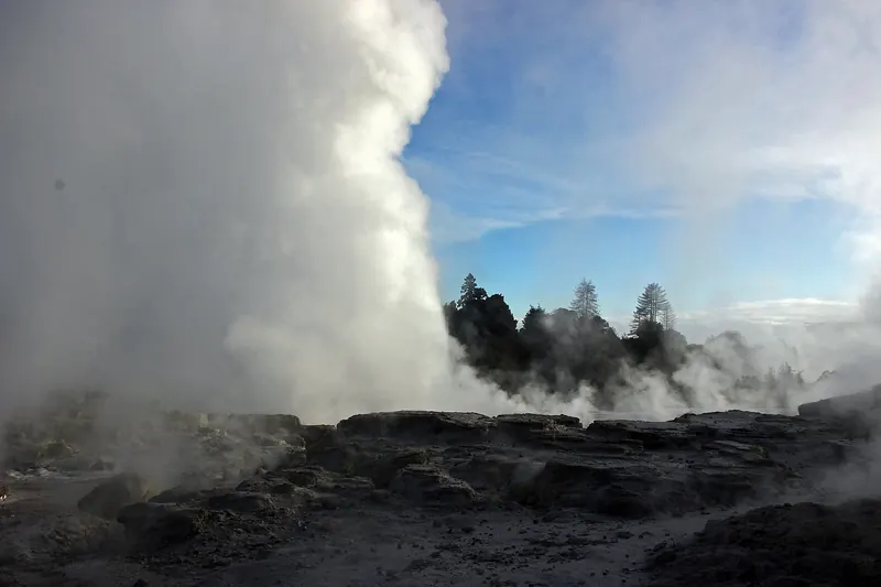 The Pohutu Geyser erupting at Te Puia near Rotorua