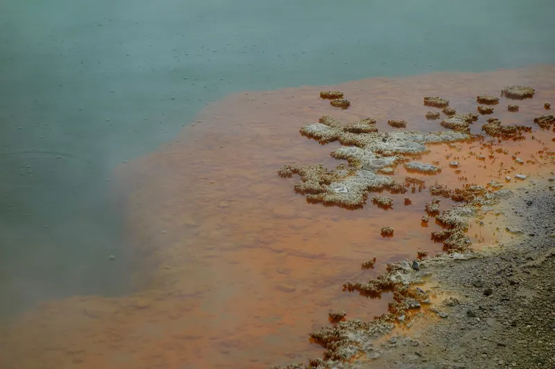The vividly coloured Champagne Pool at Wai-O-Tapu Thermal Wonderland near Rotorua