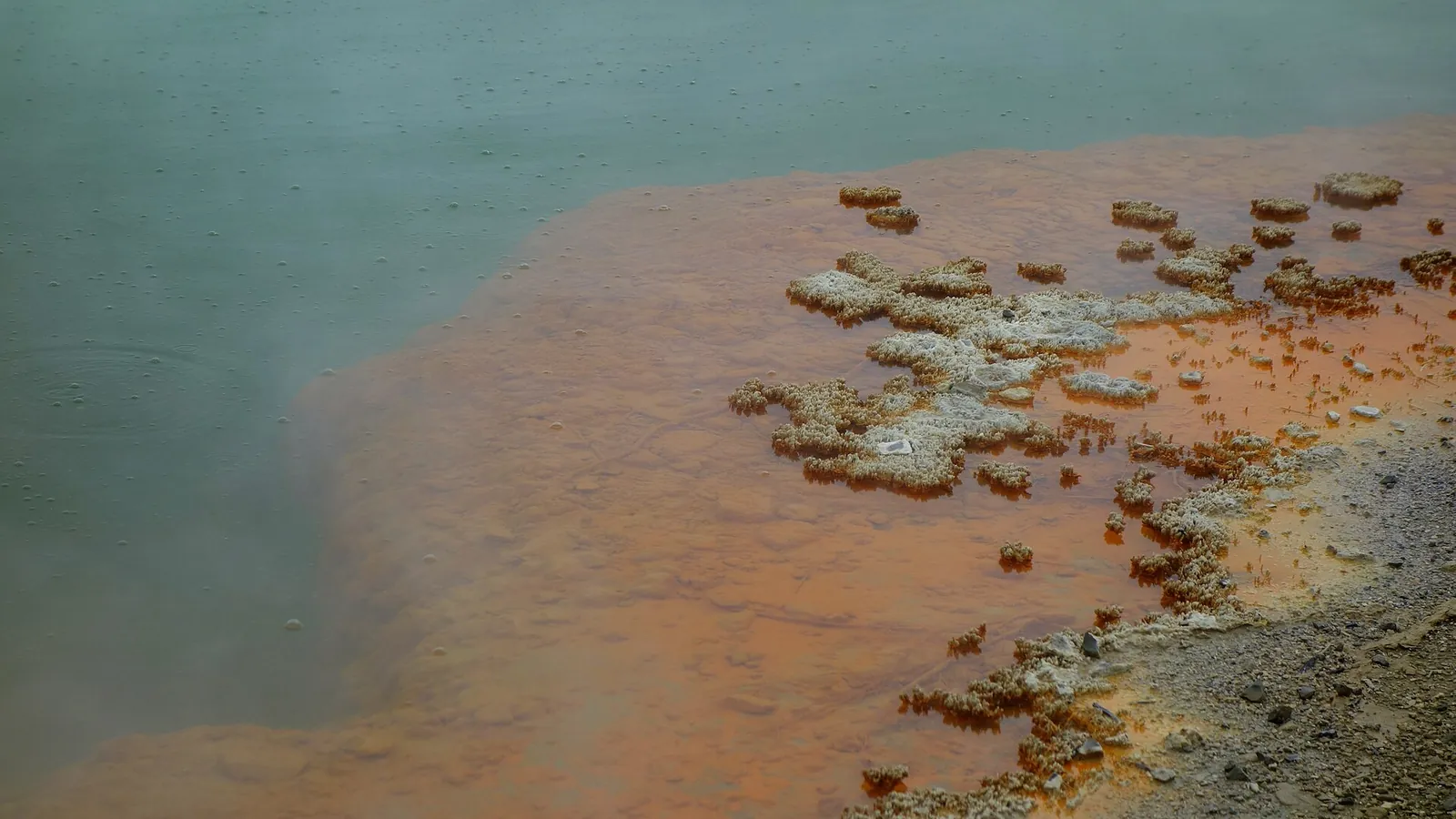 The vividly coloured Champagne Pool at Wai-O-Tapu Thermal Wonderland near Rotorua