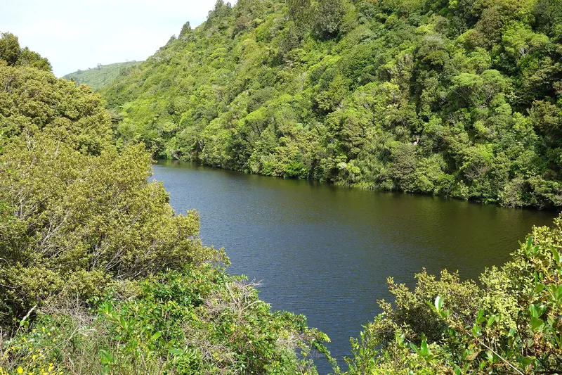 The forested valley reservoir inside Zealandia wildlife sanctuary