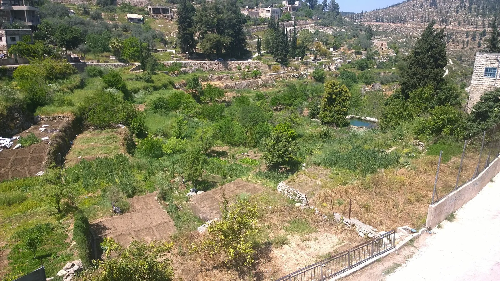 Ancient stone terraces and olive groves in the Battir valley in the West Bank