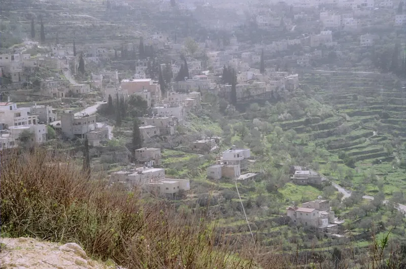 The village of Battir above its ancient terraced valley