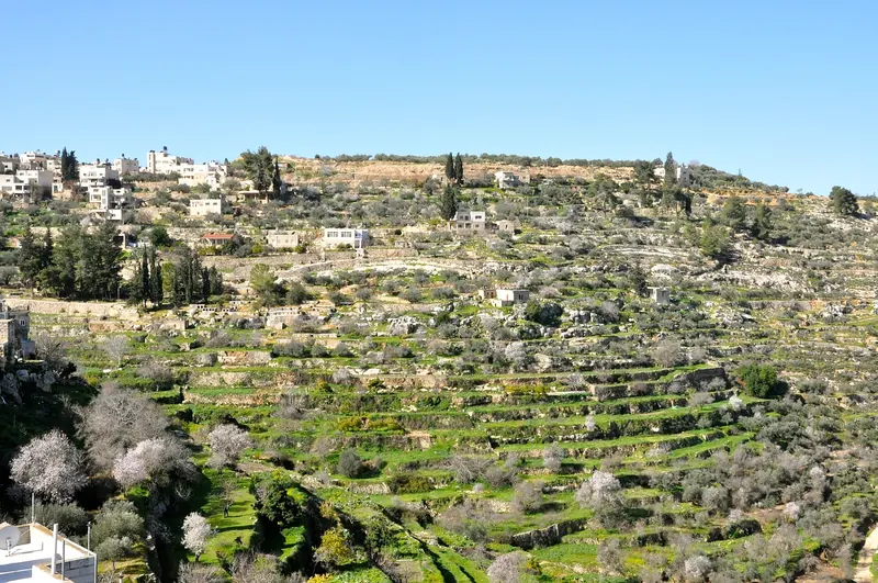The stone houses of Battir above their terraced valley