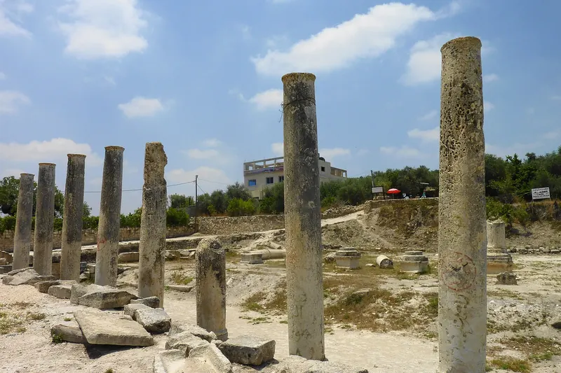 The columns of the Roman forum and basilica at Sebastia