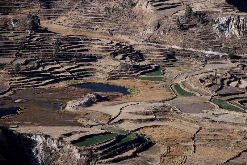 Ancient agricultural terraces in the Colca Valley