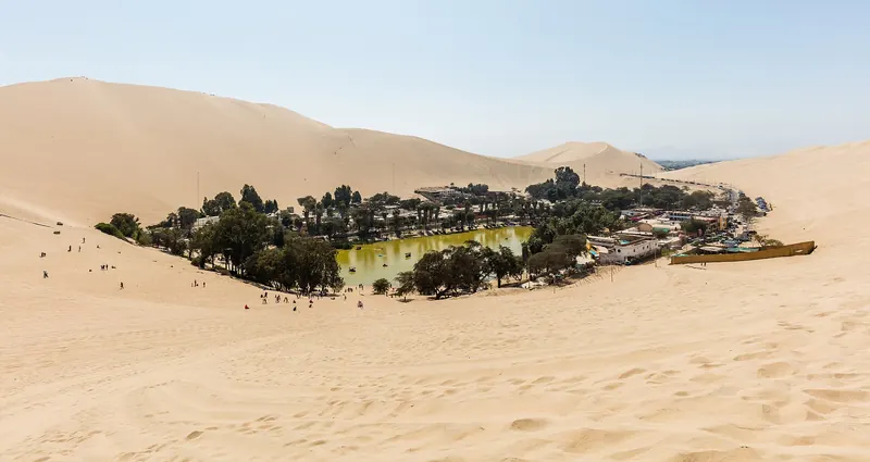 The Huacachina oasis lagoon and surrounding palm trees