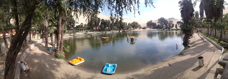 The dunes surrounding Huacachina, the setting for dune buggy tours
