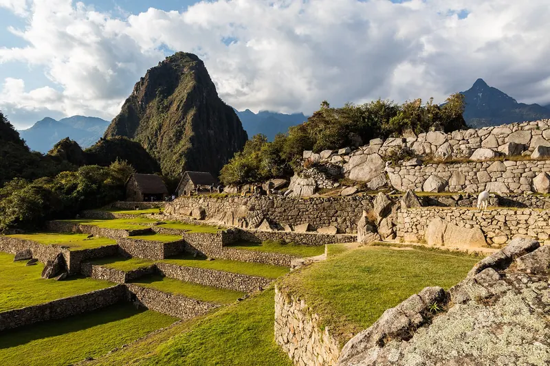 Huayna Picchu rising behind the Machu Picchu citadel