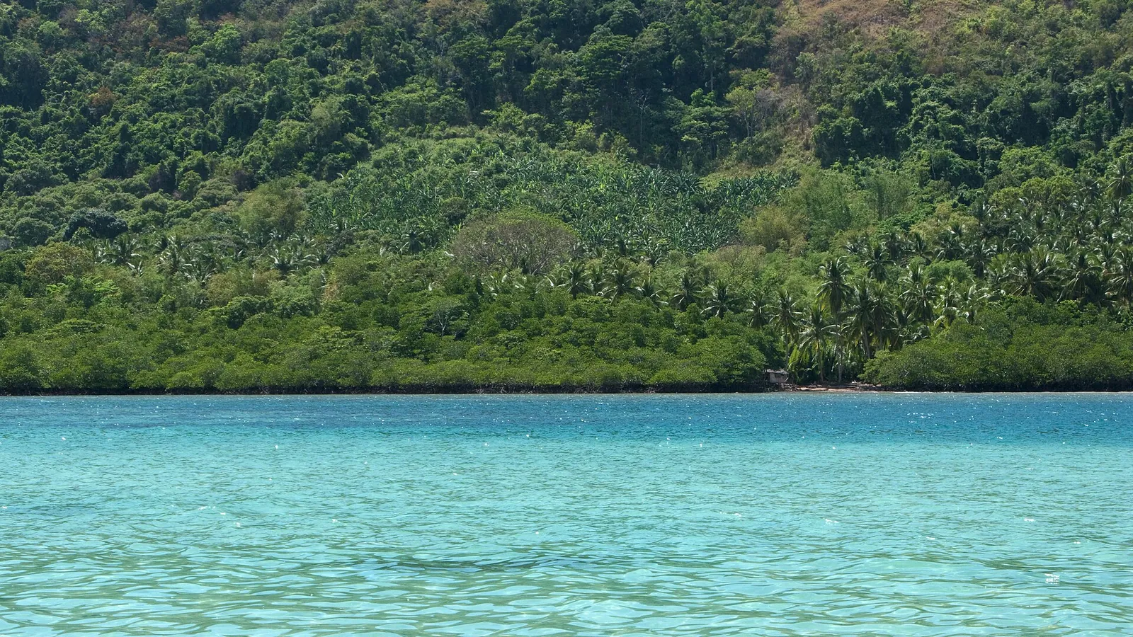 A desert tropical island with white sand and clear water in El Nido Bay, Palawan