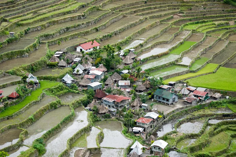 The Batad rice terraces forming a green amphitheatre around a village