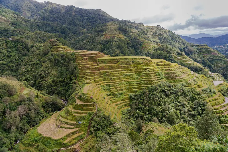 The Banaue rice terraces climbing the green mountain slopes