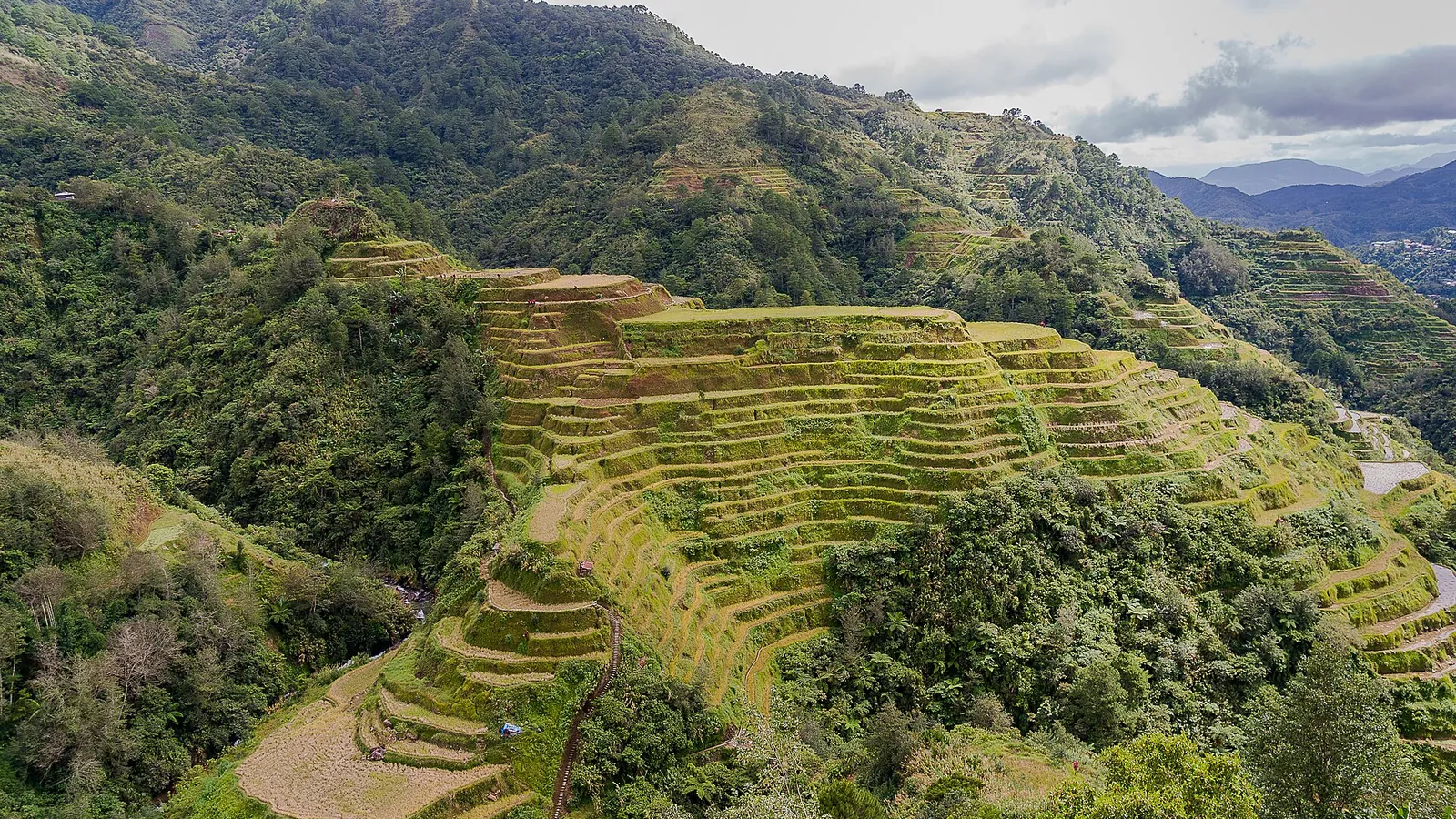 The Banaue rice terraces climbing the green mountain slopes