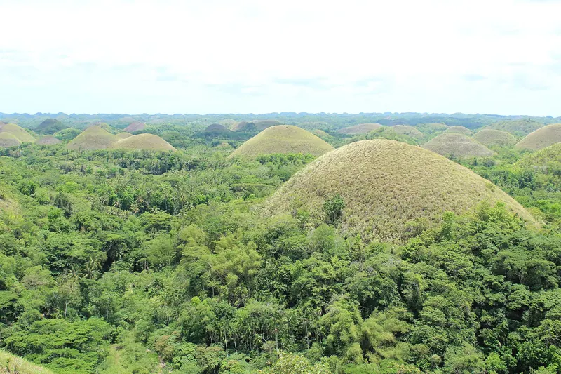The rounded brown Chocolate Hills stretching across Bohol
