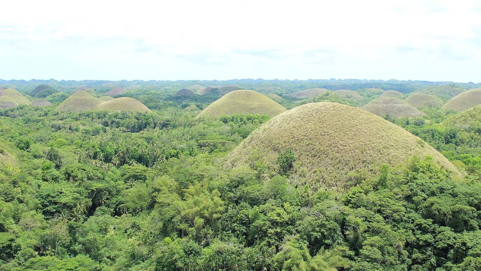 The rounded brown Chocolate Hills stretching across Bohol