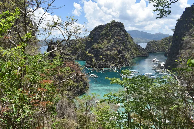 Kayangan Lake surrounded by limestone cliffs in Coron