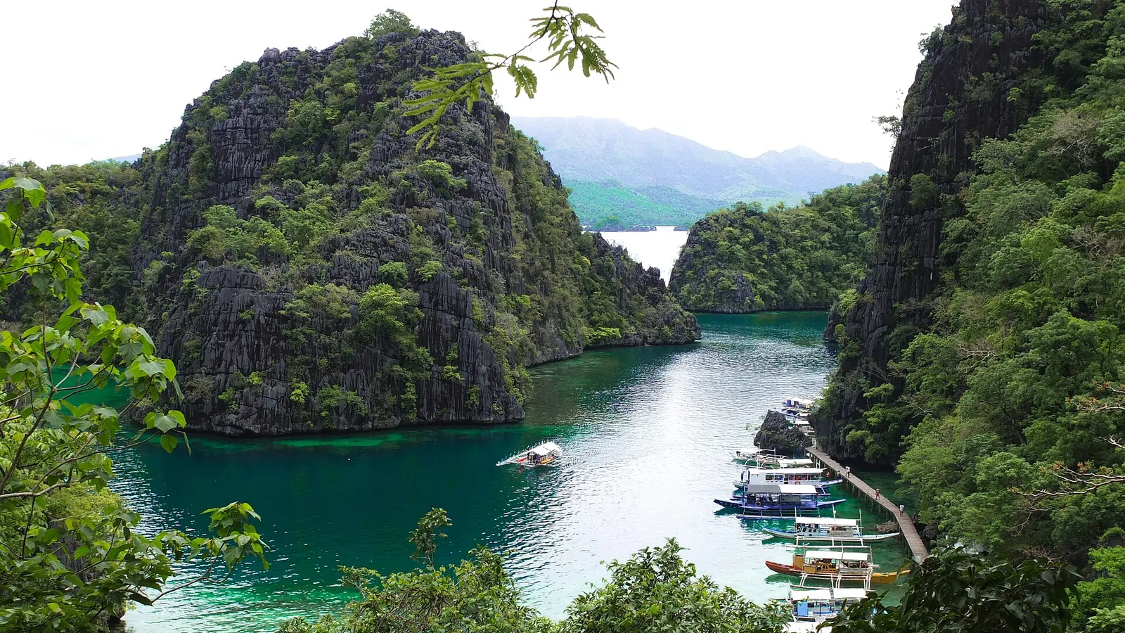 The clear turquoise water of Kayangan Lake in Coron