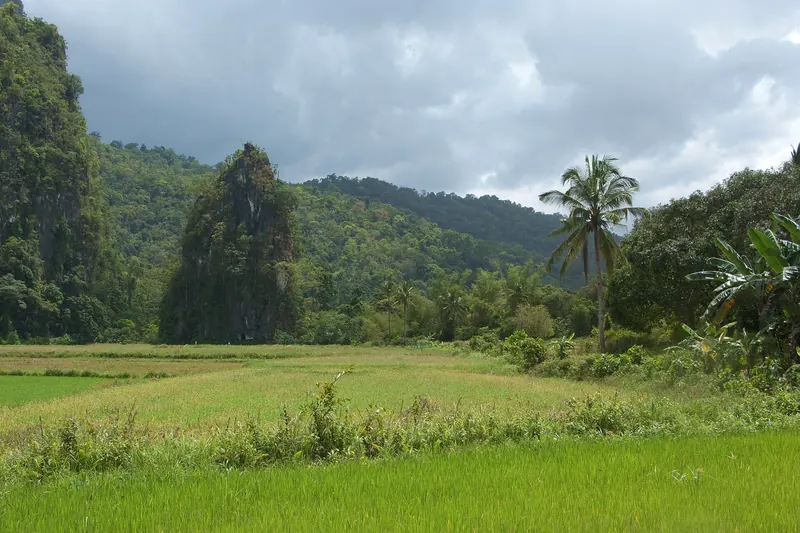 Limestone karst formations in Puerto Princesa Subterranean River National Park
