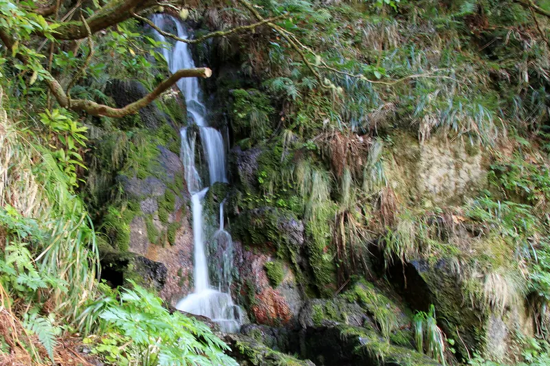 The path alongside the Levada das 25 Fontes through Madeira's laurel forest