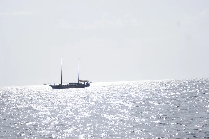 A whale and dolphin watching tour boat off the coast of Madeira