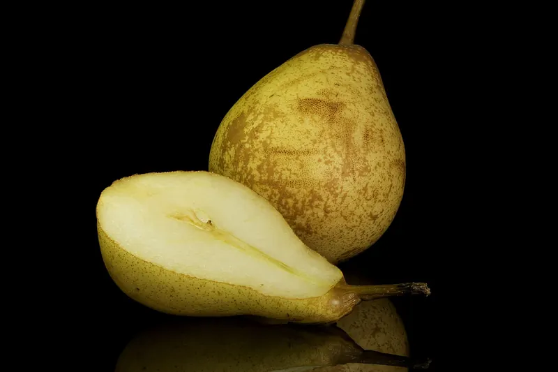 Pêra Rocha, the protected-origin pear grown in the Oeste region around Óbidos