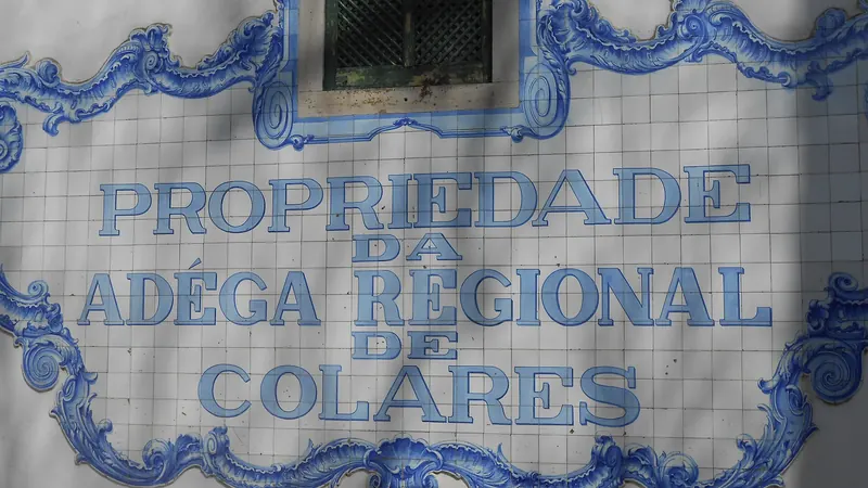 The Adega Regional de Colares, a historic wine cellar near Sintra