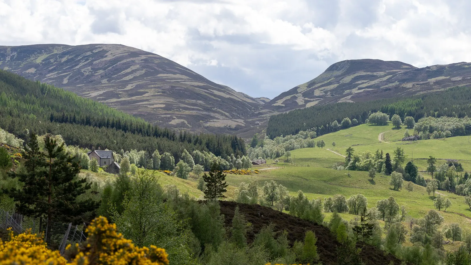The mountains and glens of Cairngorms National Park