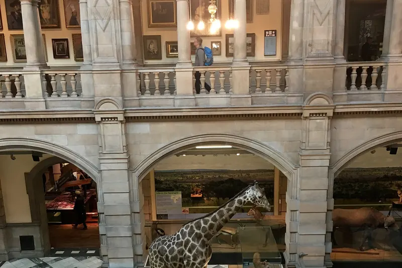 The interior galleries of Kelvingrove Art Gallery and Museum