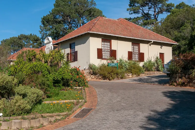 Lawns and indigenous plants at Kirstenbosch on the slopes of Table Mountain
