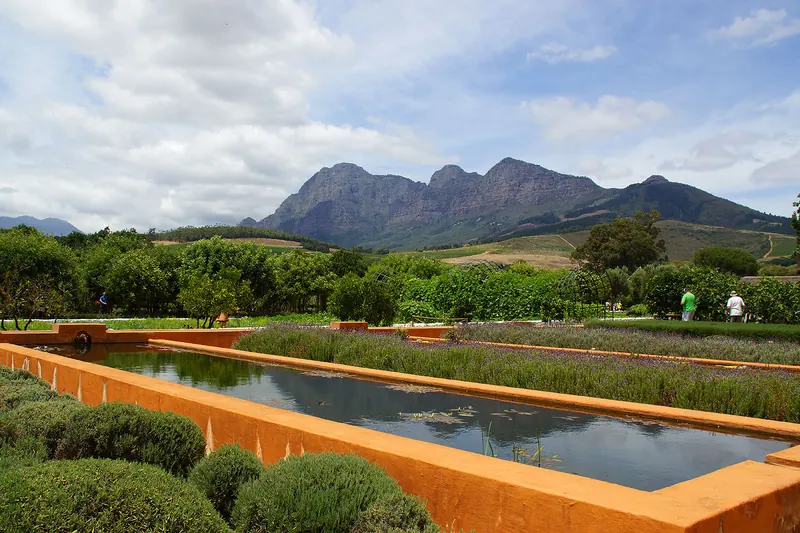 The gardens and Cape Dutch buildings at Babylonstoren farm