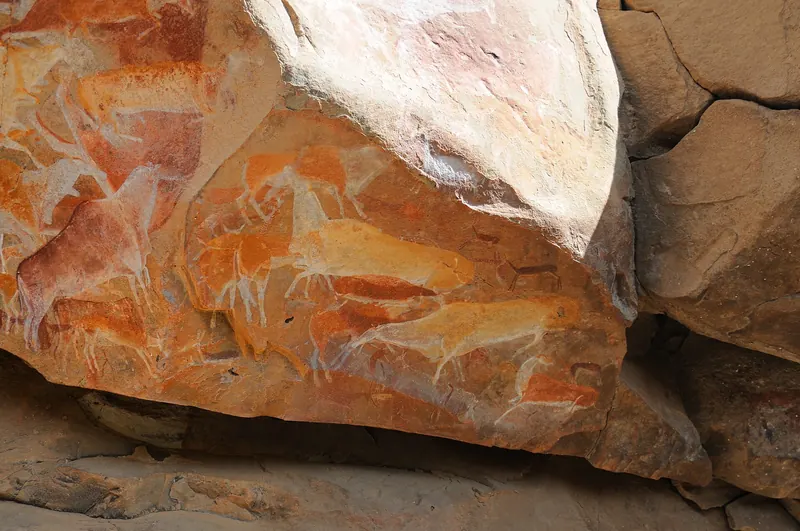 San rock paintings of eland antelope on the wall of Eland Cave