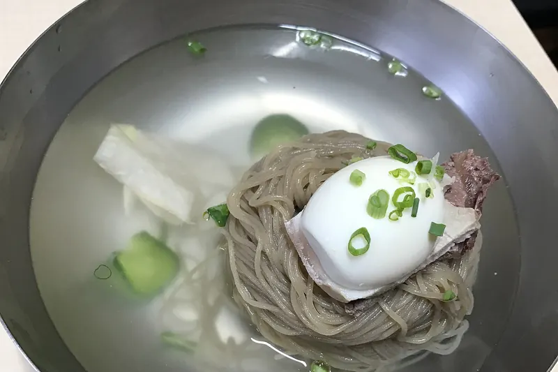 A bowl of cold buckwheat noodles in broth