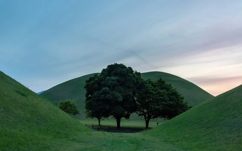 Grassy tumuli and trees at sunset in the Daereungwon Tomb Complex