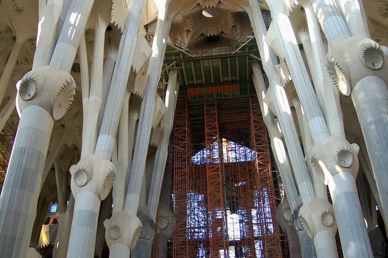 The branching stone columns and stained glass of the Sagrada Família interior