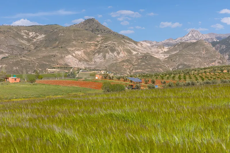 The peaks of the Sierra Nevada above Granada