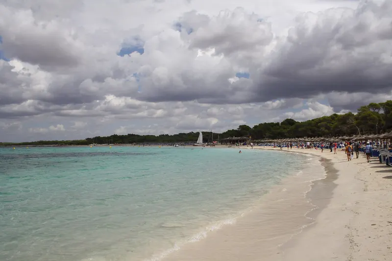 The undeveloped sand and shallows of Es Trenc