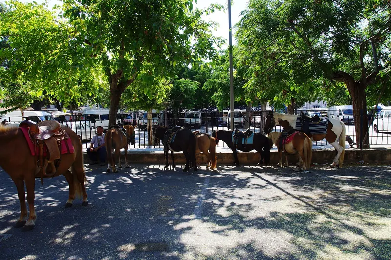 Market day in the inland town of Sineu
