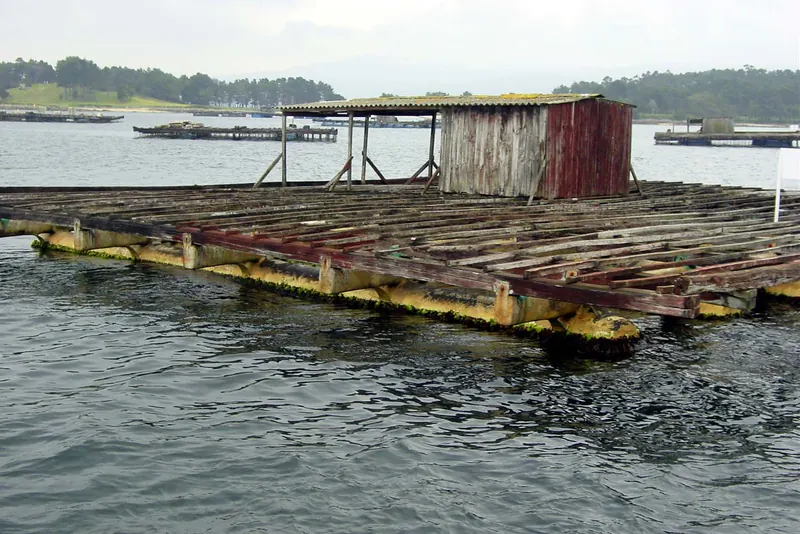 A mussel raft moored in the Rías Baixas