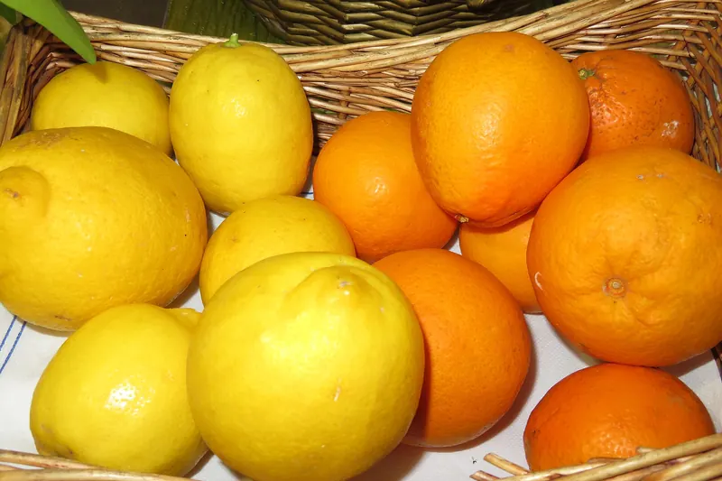 Oranges and lemons from the Valencian huerta