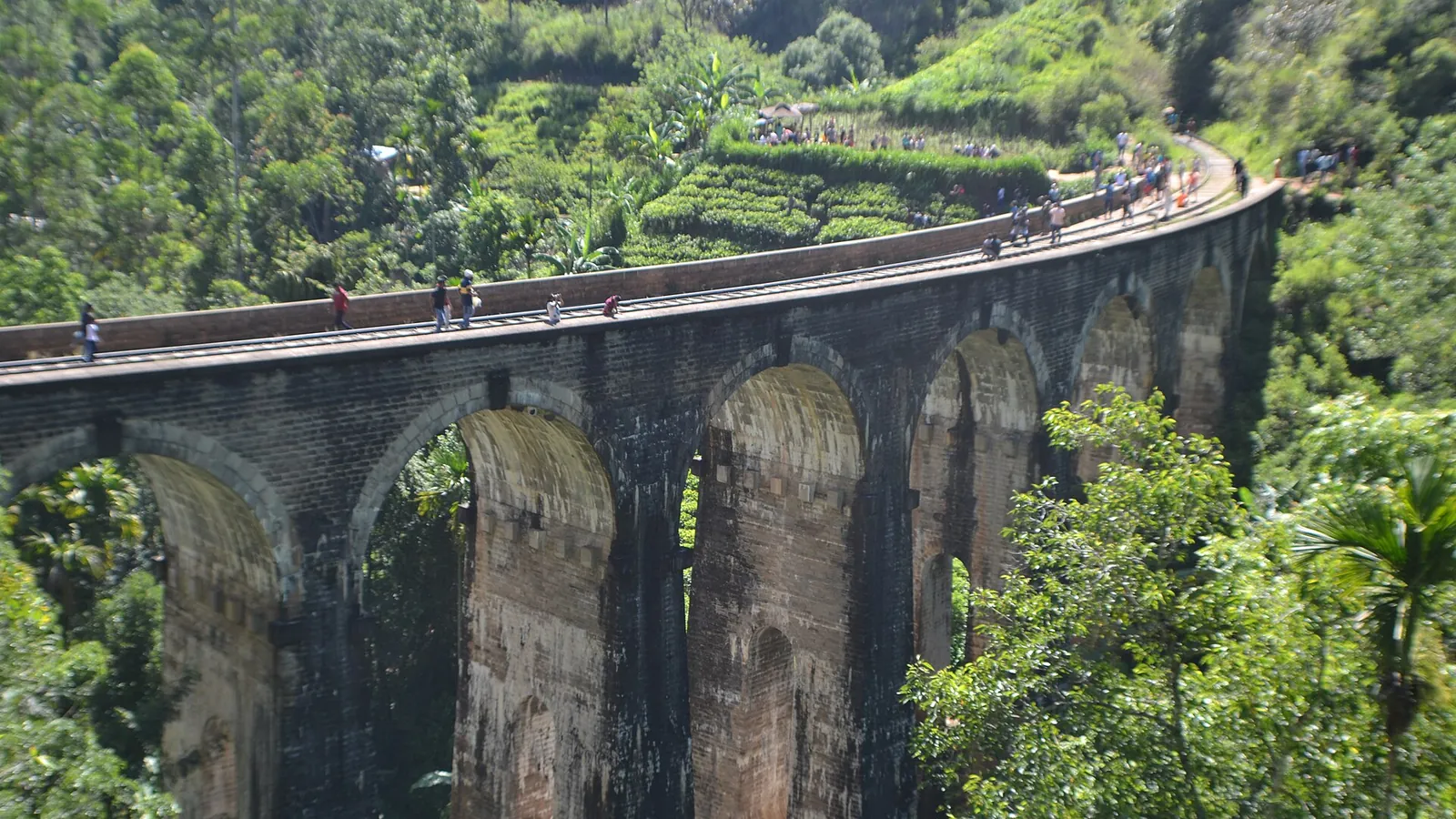 The Nine Arch Bridge among jungle and tea hills near Ella