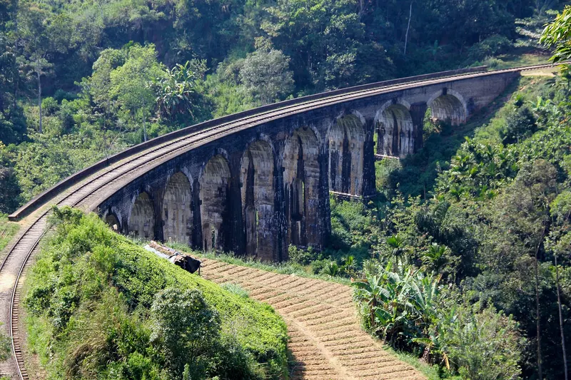 The Nine Arch Bridge curving through jungle at Demodara