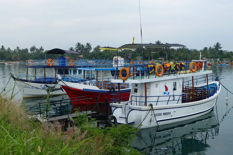 Whale-watching boats heading out from Mirissa harbour