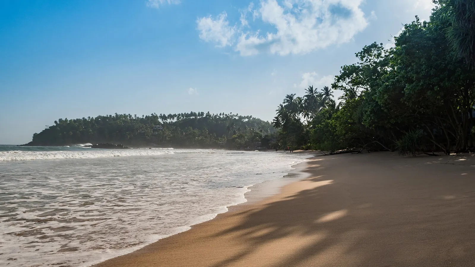 Mirissa beach with palm trees and blue water seen from above