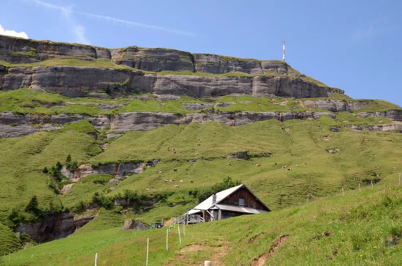 The grassy east slope of Rigi Kulm in central Switzerland