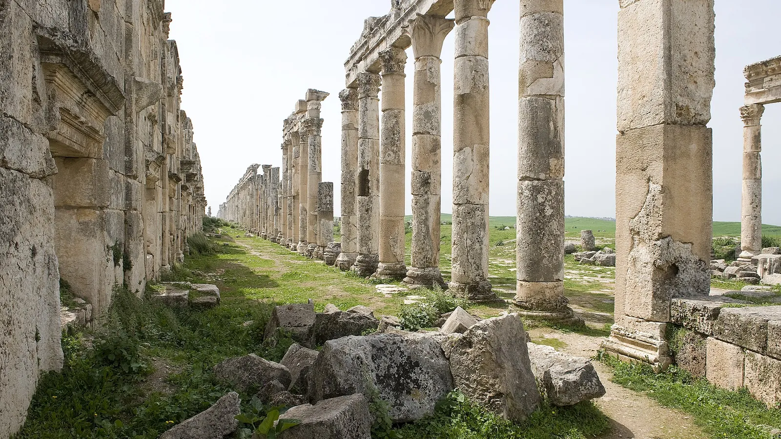 The colonnaded street of Apamea, photographed in 2009, before the war