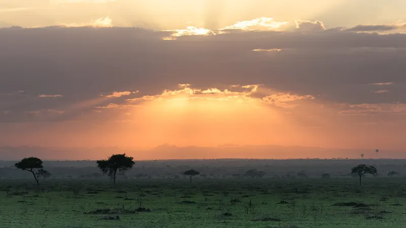 Sunbeams breaking over the Serengeti plains at sunrise