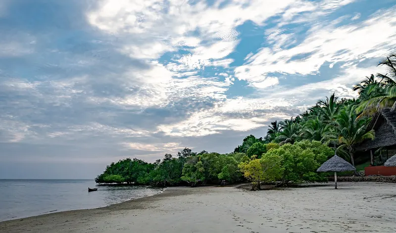 The coast of Mafia Island