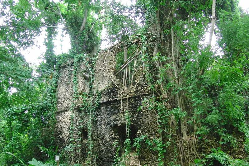Swahili ruins on Chole Island