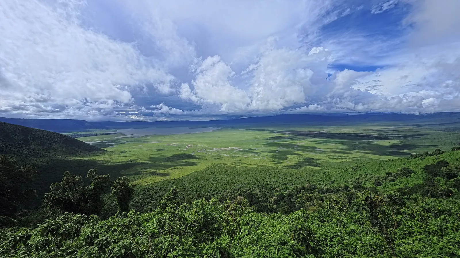The vast green floor of Ngorongoro Crater seen from the rim