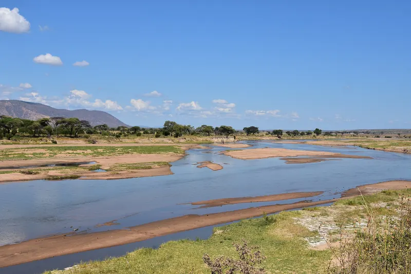 The Ruaha River in Ruaha National Park